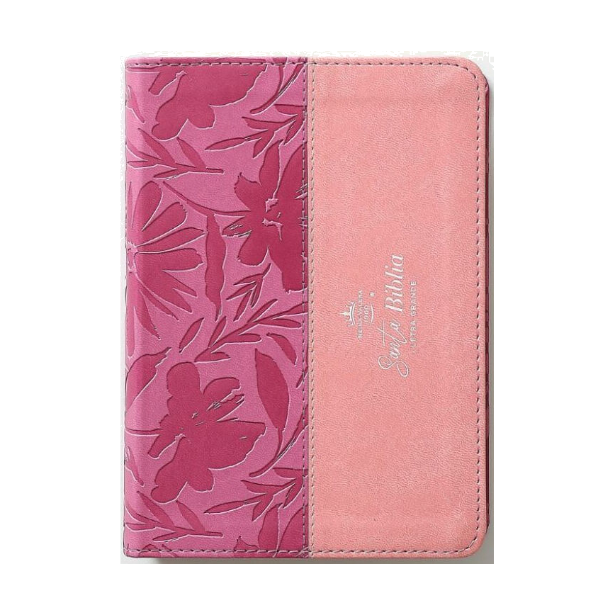 Biblias para Señoritas 2