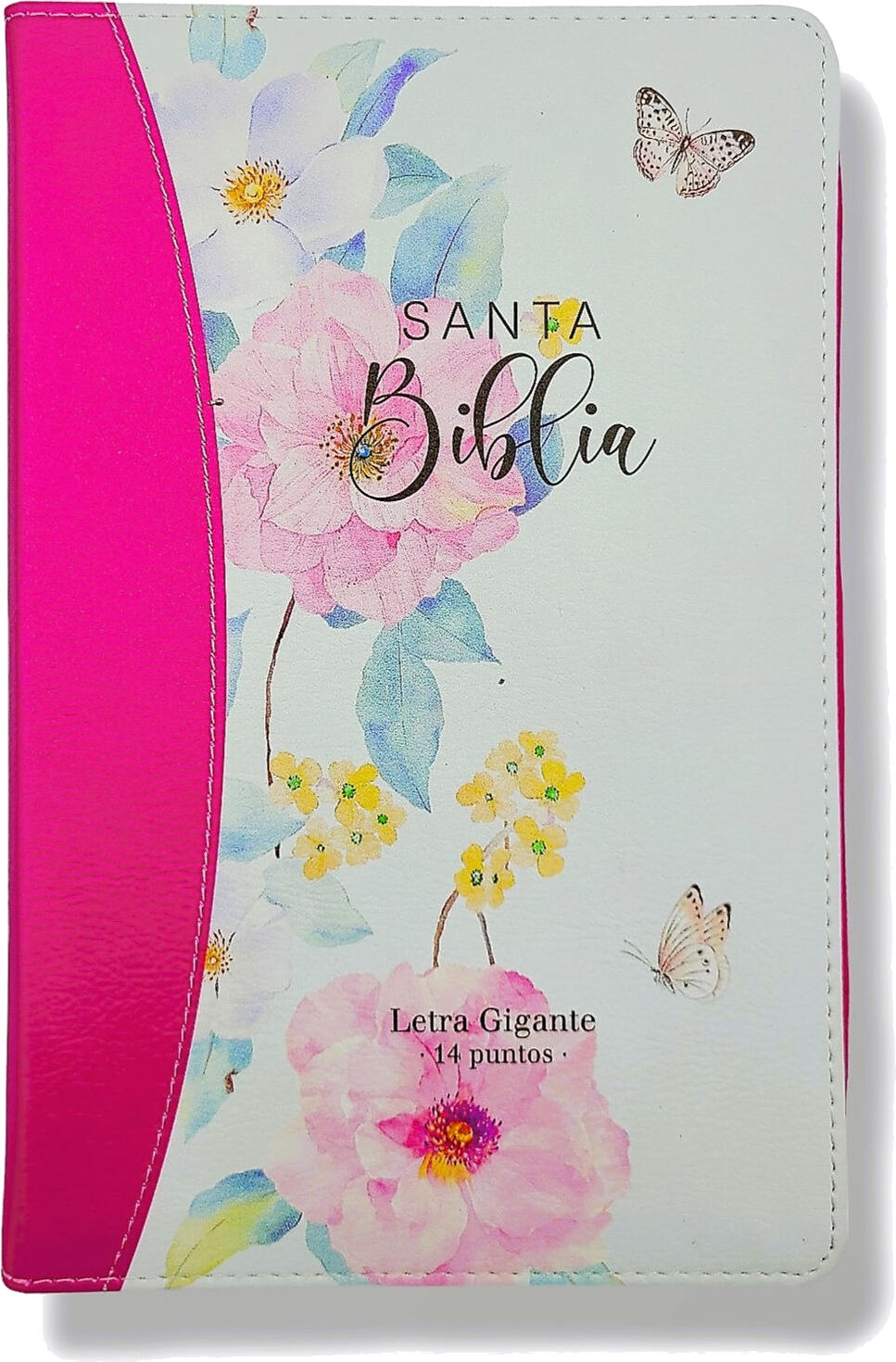Biblias para Mujeres 1