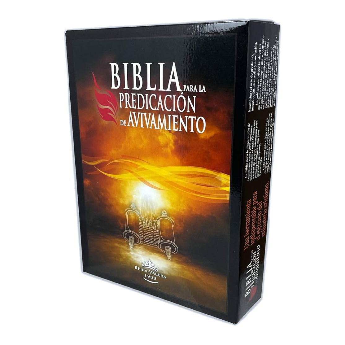 Biblias de Estudio 4